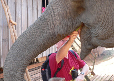 Kambodscha 2013, Peter füttert Elefanten in Phulung