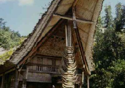 Sulawesi 1994