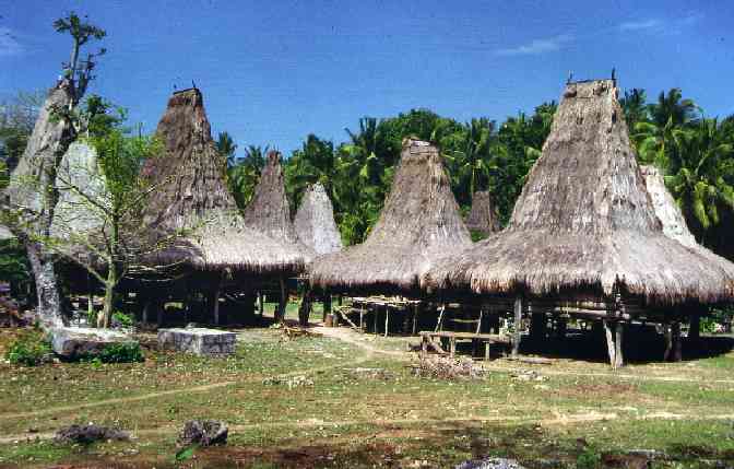 Sumba, Flores, Komodo und Bali 1993