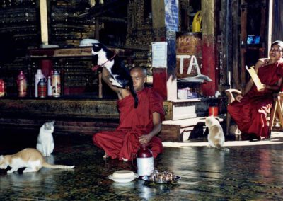 Burma 2001,2002, Nga Phe Kyaung, Katzenkloster im Inle Lake