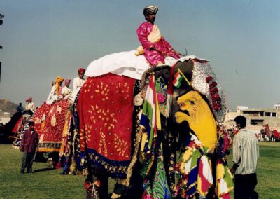 Rajasthan 2001, Jaipur, Löwe auf Elefant gemalt, beim Elephant Festival