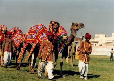 Rajasthan 2001, Jaipur, Kamele beim Elephant Festival